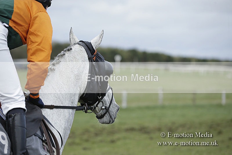 PtP 150320 0650 - New Forest Point-to-Point Larkhill 15/03/20
