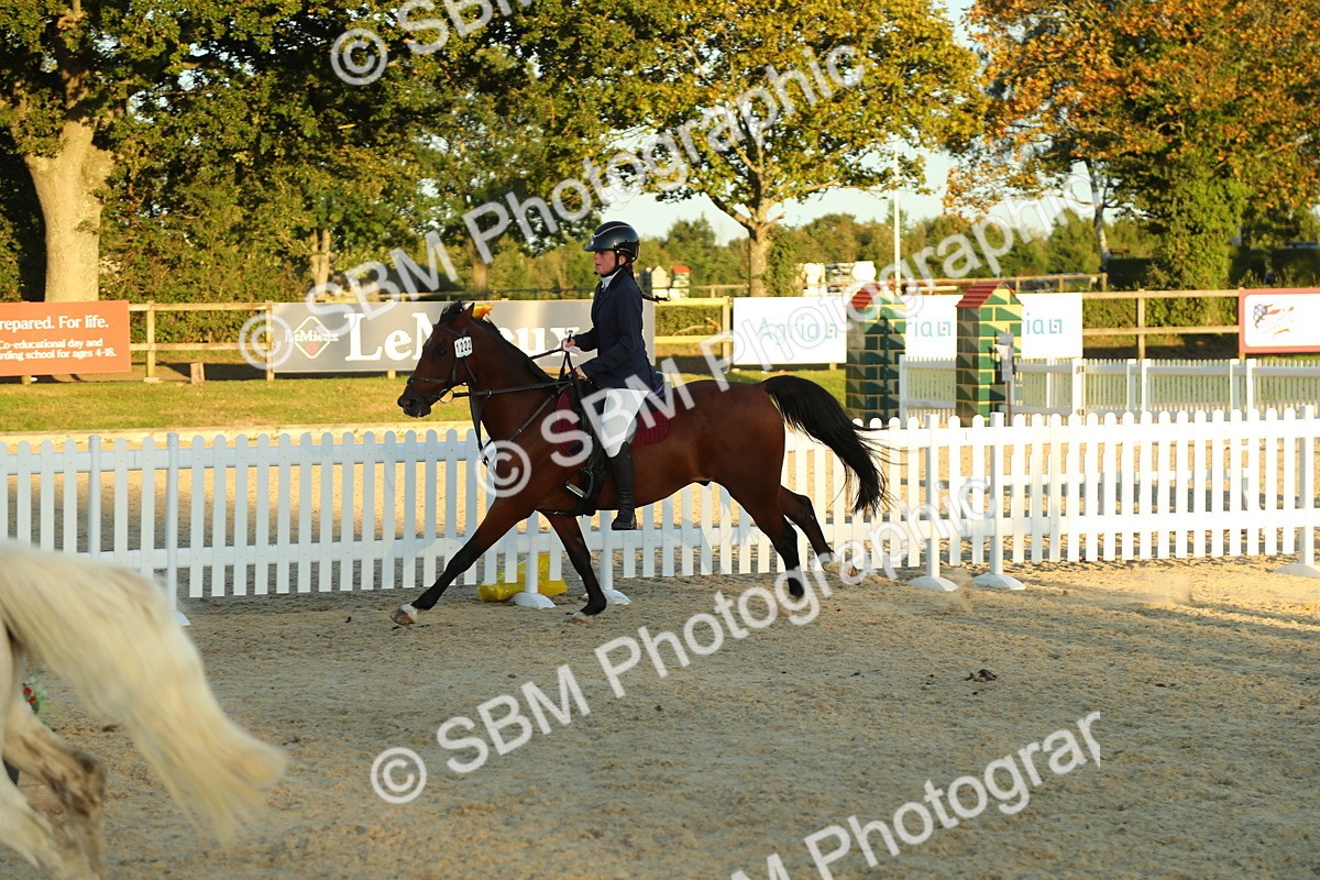 SBM_53966 - J8 - Junior Pony 65cm Championship