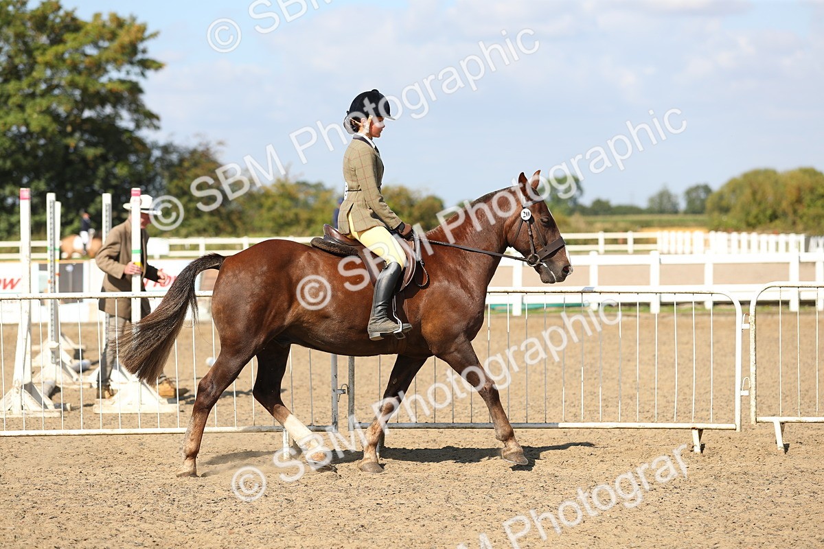 SBM_03116 - Class 44 Riding Club Horse/ Pony