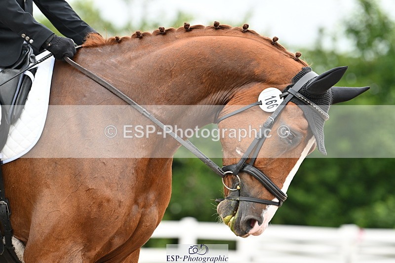 240623A-120953-17867 - Cls 48 BD Novice 37A