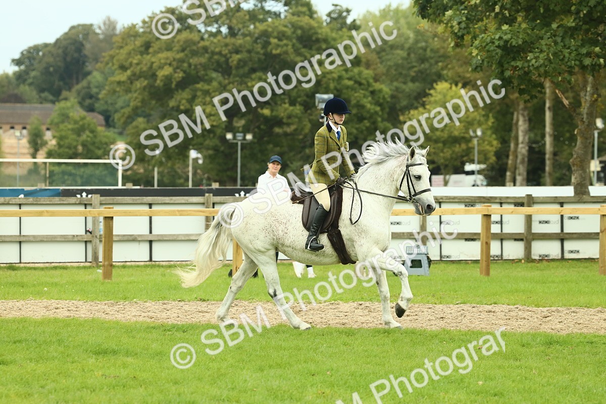 SBM_72048 - S60 - Mountain & Moorland Ridden Large Breeds
