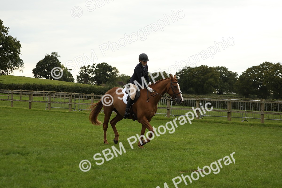 SBM_73905 - S41 - Ridden Equitation (Best Rider)