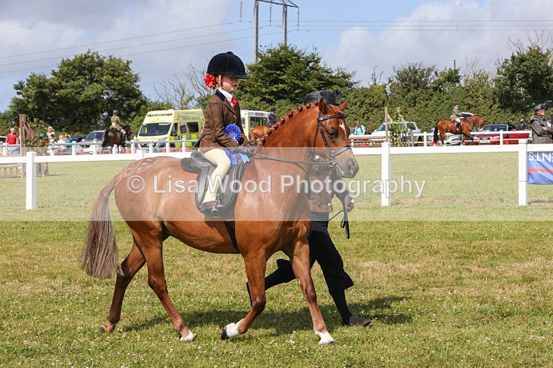 1X9A3702 - Class 29: Lead Rein SP/SHP