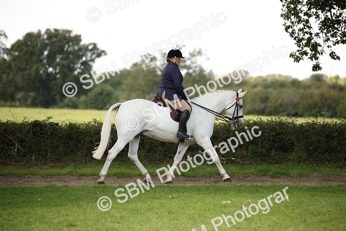 SBM_65901 - S64 - Riding Horse & Hack & Thoroughbred Ridden