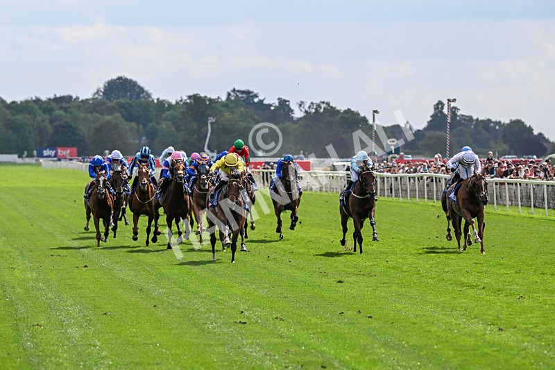 220826-Race 2-Infraad-9737 - Race 2 14.25pm Sky Bet Melrose Handicap