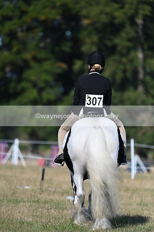 WJ7_8802 - Time 09:00 to 09:24