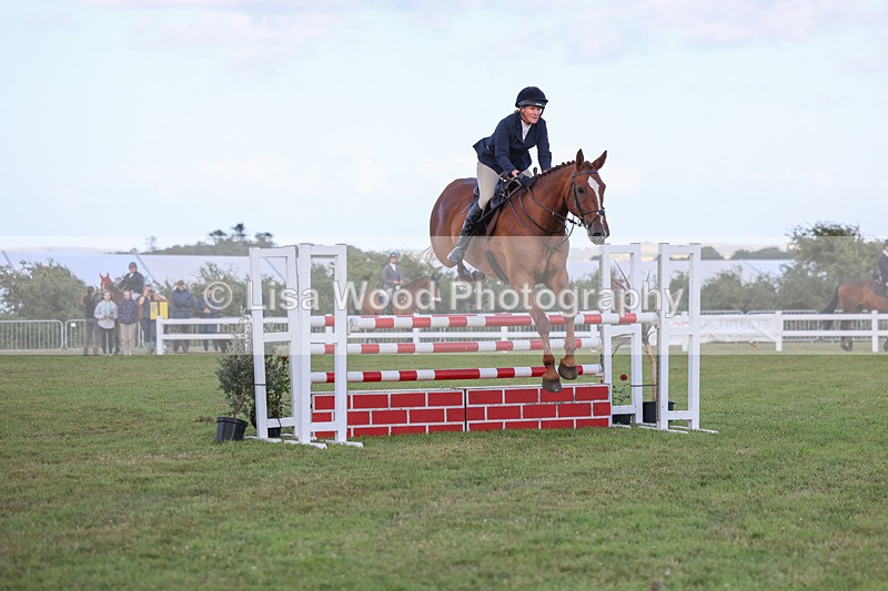 3E7A4861 - Class C1: Showjumping Senior Newcomers/1.10m open
