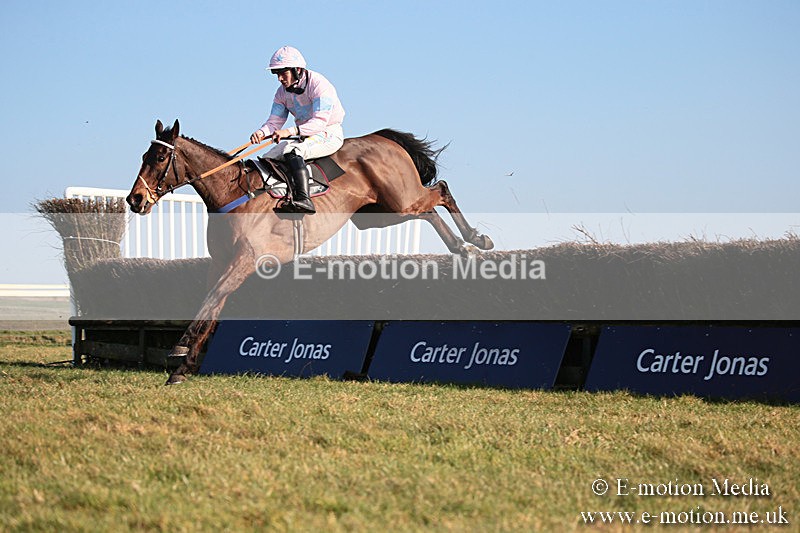 PtP 230219 450 - Vine & Craven Point-To-Point - Barbury 23/02/19
