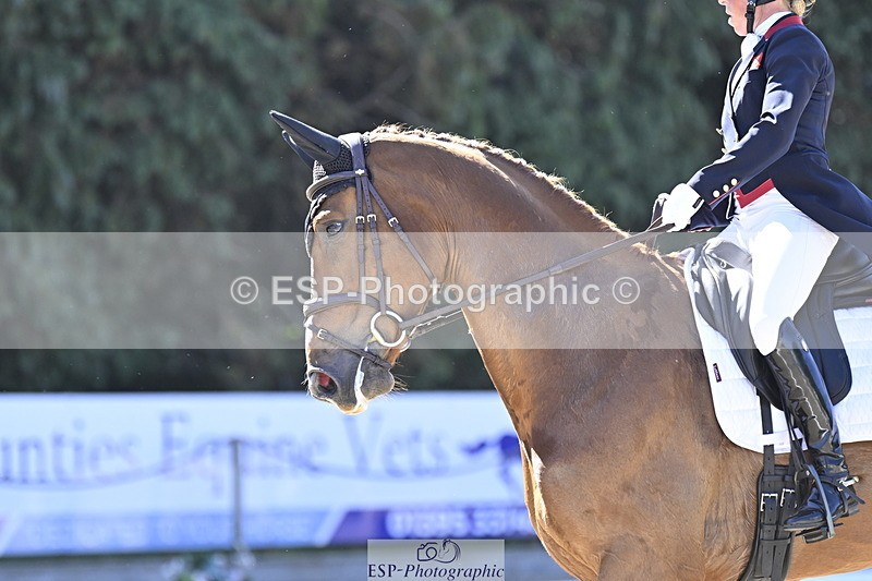 250522A-100001-02593 - B-307-Rosalind.Canter-SILVESTERS.FINESSE