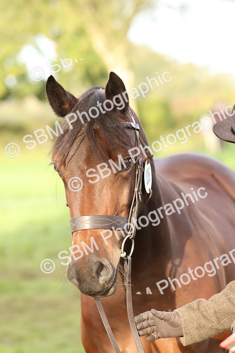 SBM_54845 - S39 - Starters In Hand Showing