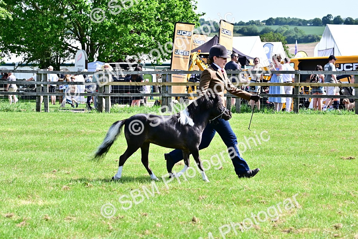 SBM_03381