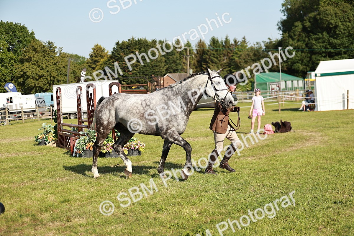 SBM_20019 - Class 115-116 - LIHS BSHA Rising Star Working Hunter & Show Horse