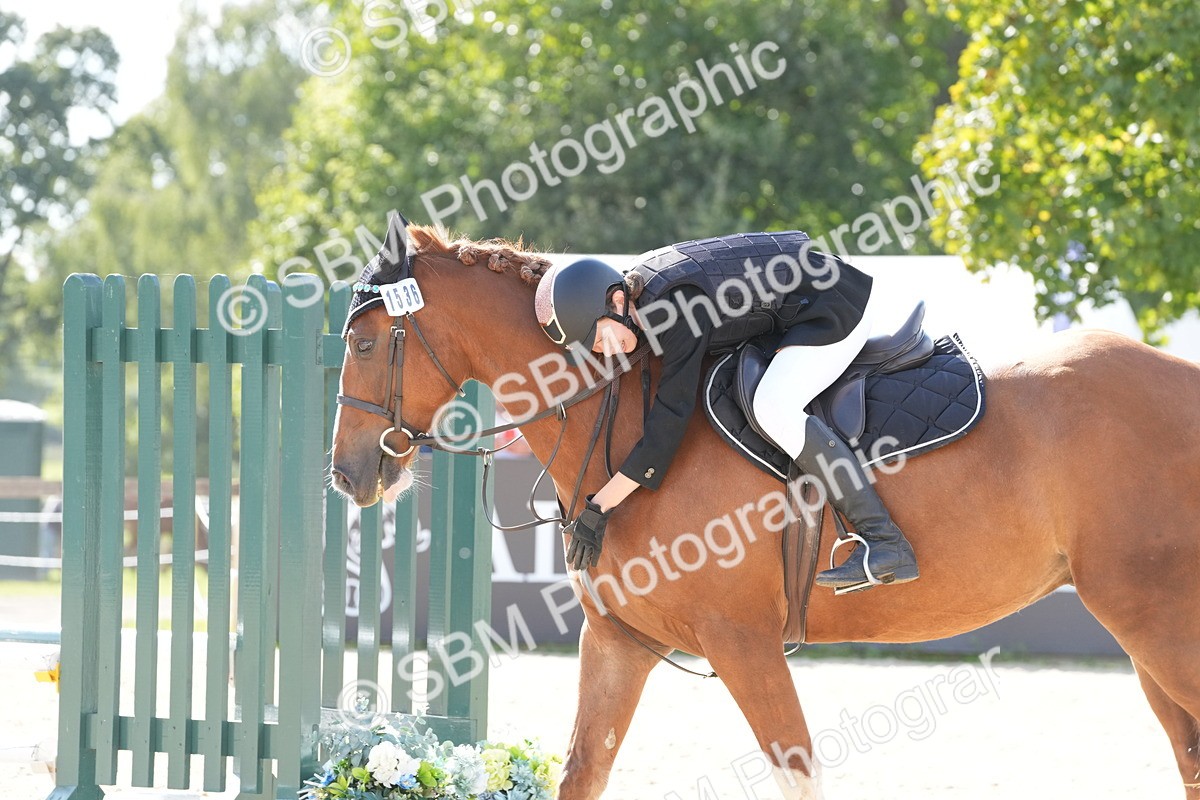 SBM_48574 - J22 - Junior Horse 65cm Championship