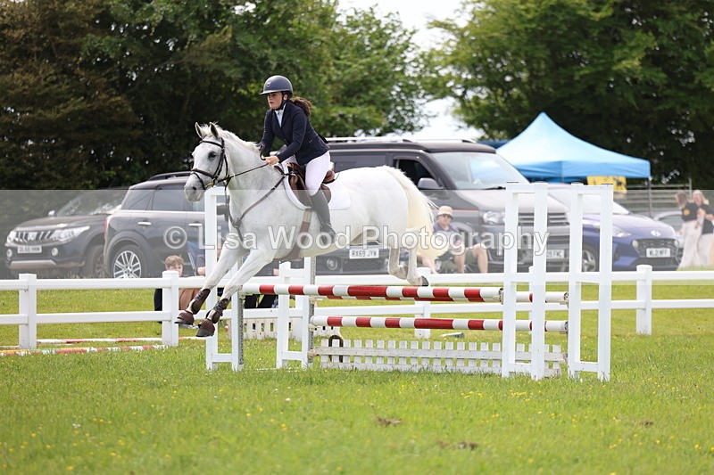 3E7A1530 - Class 13: Senior British Novice/90cm open