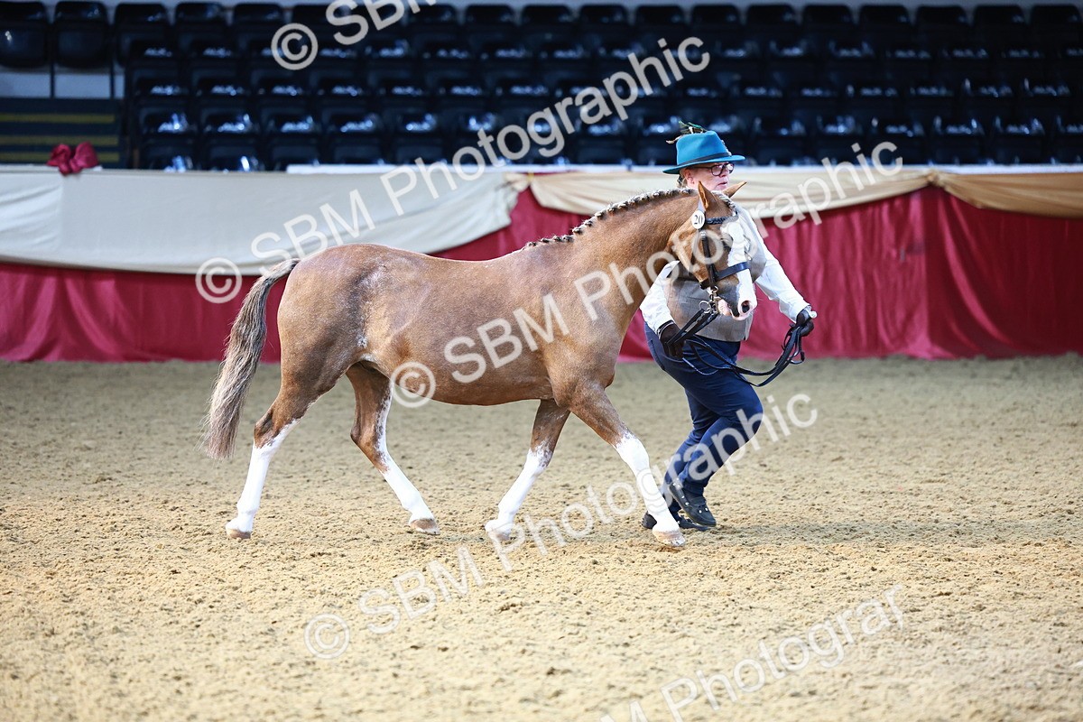 SBM_22175 - Class 902 - Supreme Final - IH Diamond