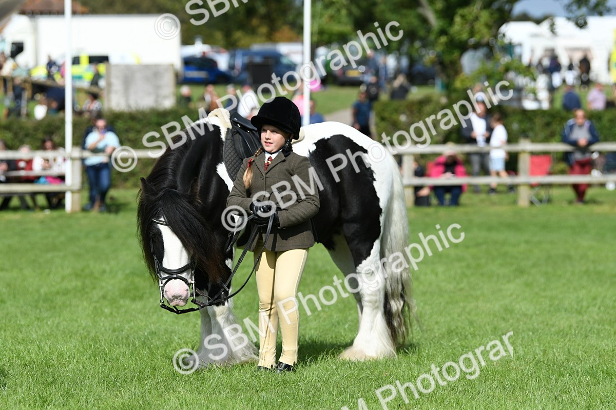 SBM_46986 - S12 - Family Horse & Pony
