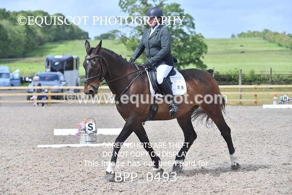 BPP_0493 - MFS NOVICE