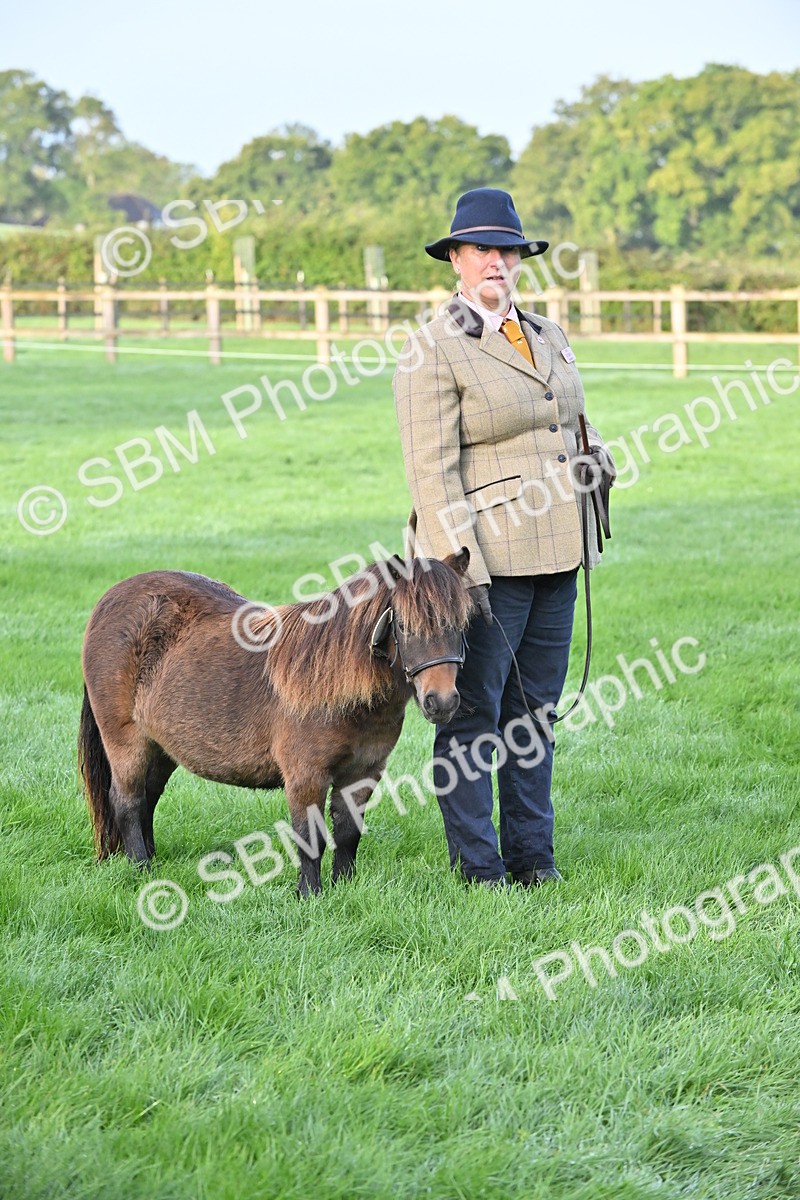 SBM_54621 - S44 - Youngstock In Hand