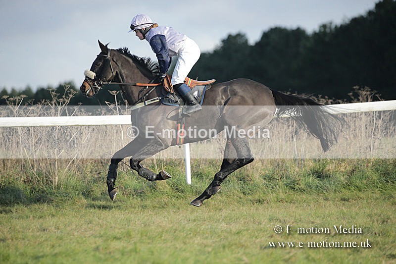PtP 011219-0272 - Hursley Hambledon Hunt Point-to-Point 01/12/19