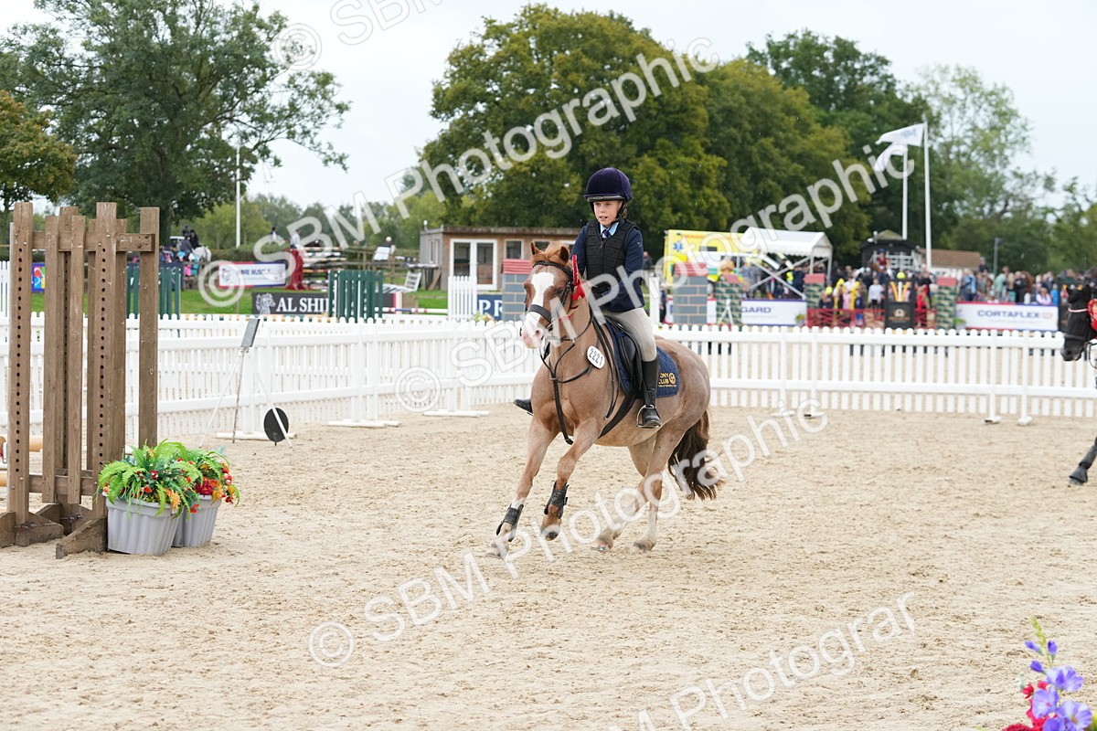 SBM_40911 - Supreme Championship Pony 50-55cm