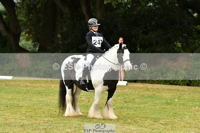 250820A-122851-05612 - 12 to 13.00