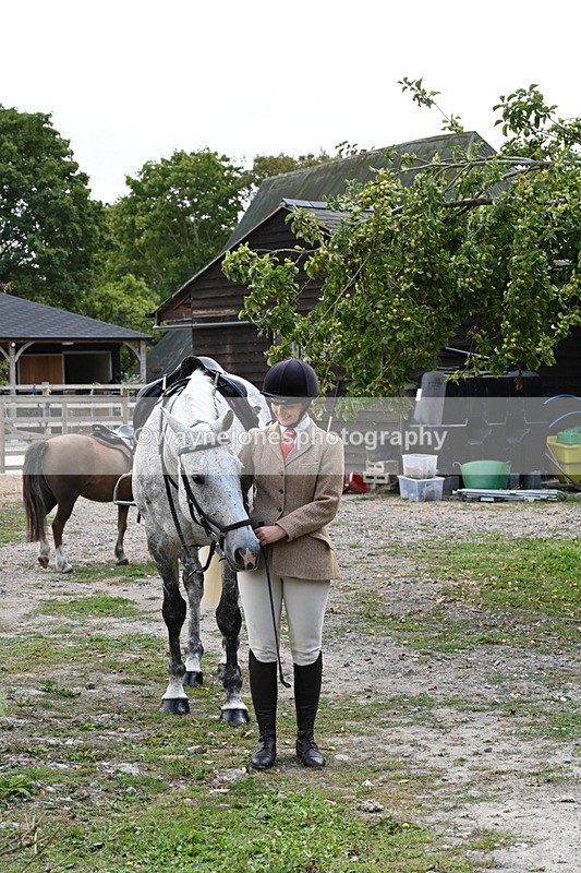 WJ6_3101 - Berks & Bucks - The Old farmhouse - Hound Exercise 20-08-25