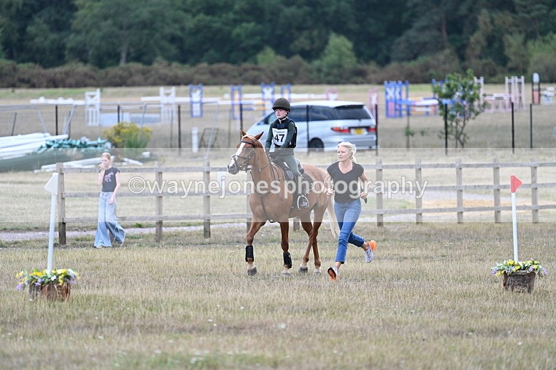 WJ7_1635 - 60cm Time 13:20 to 14:27