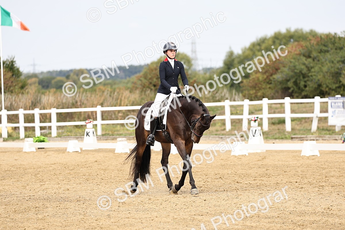 SBM_012411 - Class 2 - Prelim 5