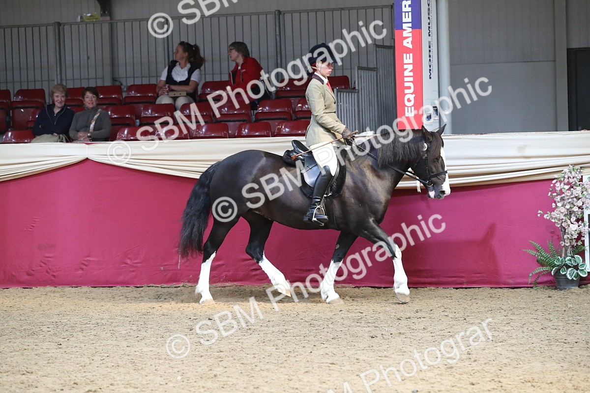 SBM_16302 - Class 502 M&M Ridden Supreme Final