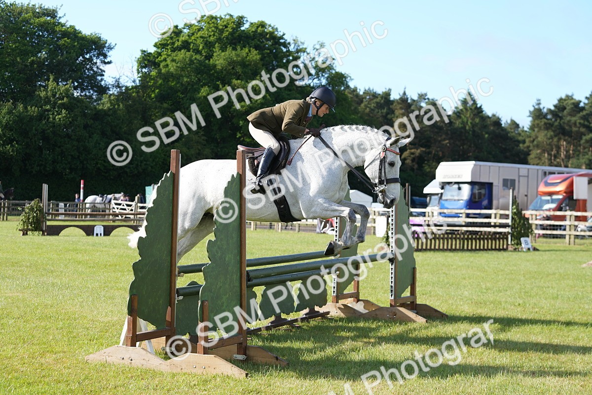 SBM_10557 - Class 97-98 - LIHS BSHA Rising Star Working Show Horse Hunter