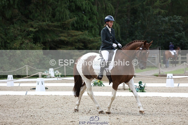 230812-121142-03950 - Cls 5 Novice Bronze 11.15 to 12.50 break