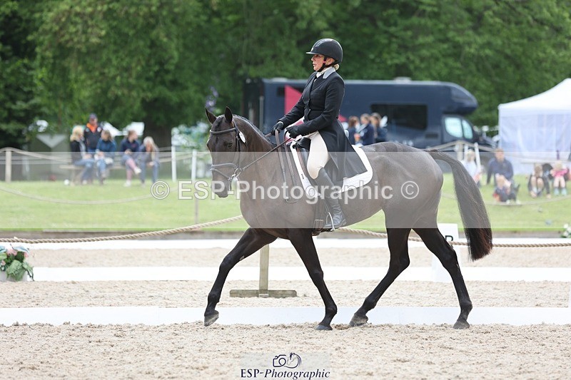 240524-170504-11210 - 376-STORM_BLUE_CURTIS-Phoebe_Buckley