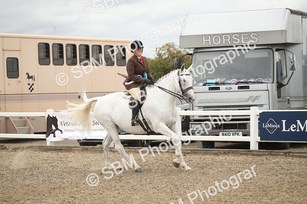 SBM_18341 - Class 509a - Working Veteran - 80cm (15-19)