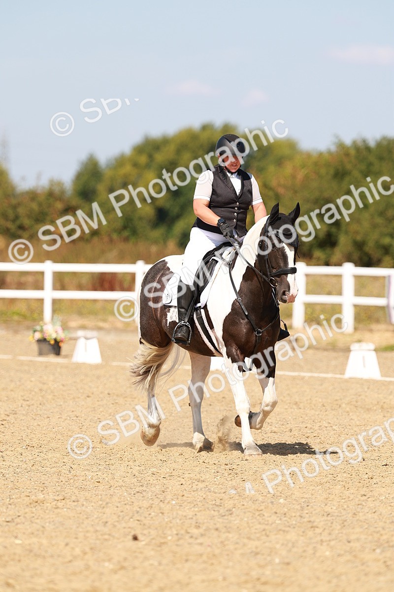 SBM_018260 - Class 9 - N5 Bronze 11.57.13.07