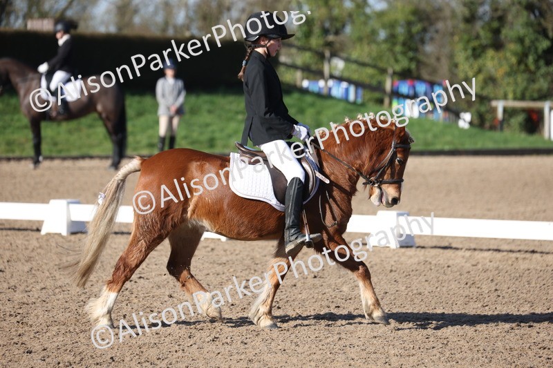 20260214-0367 - Class 4 - Novice 2