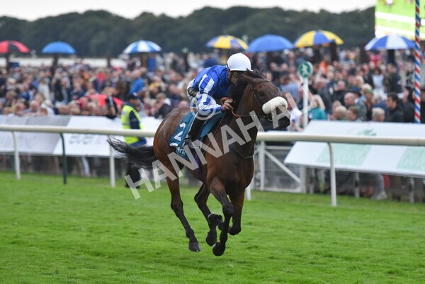 yr22072022r7-33 - Race 7 8.25pm The Sky Bet Go-Racing-In-Yorkshire Summer Festival Stakes