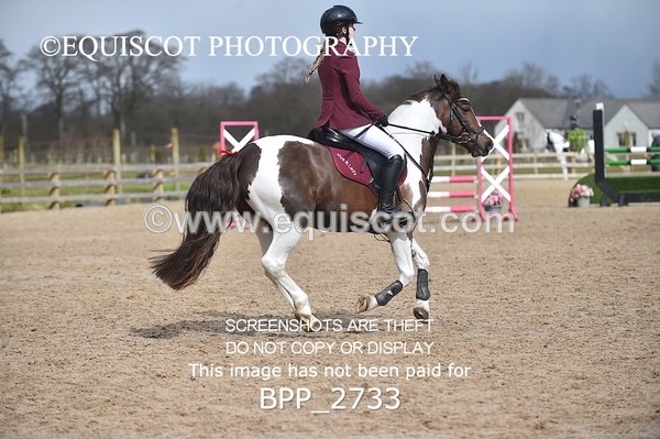 BPP_2733 - CLASS 29 STX-UK Pony BritiNovice / 0.80m Open