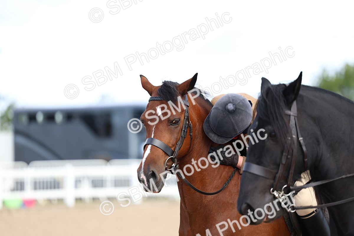 SBM_08958 - Class 302 - Ridden M&M - Large Breeds