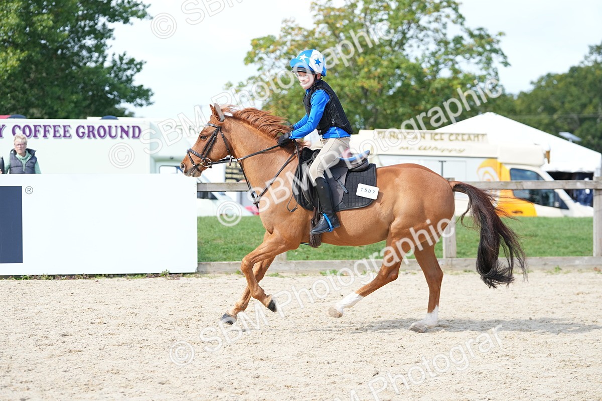 SBM_18052 - J58 - Clear Round 50cm