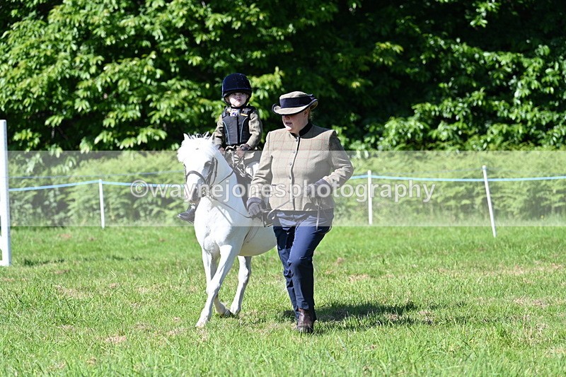 WJ7_0573 - Class 8 First Rally Pony