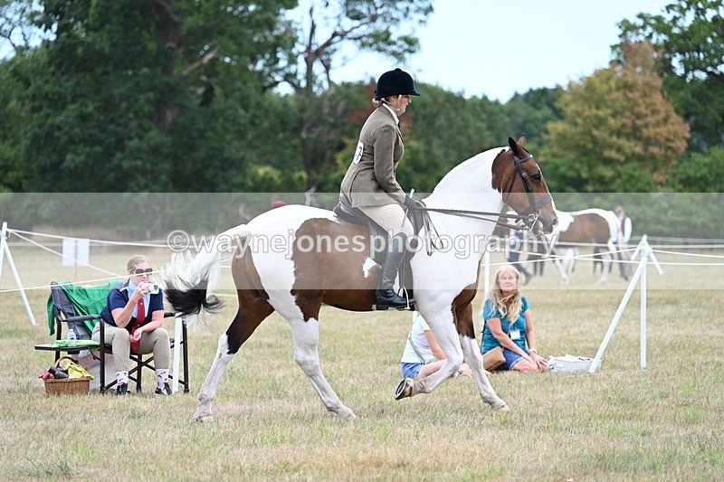 WJ7_4906 - Class 12 Ridden Cob