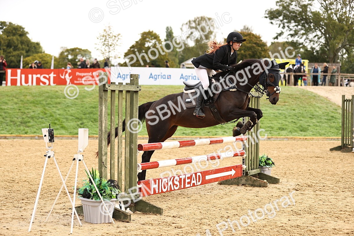 SBM_58446 - J41 - Grand Tour Horse & Pony 95cm