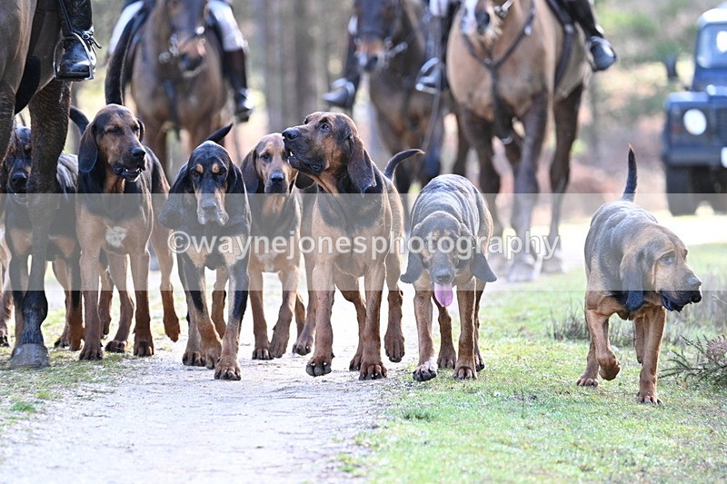 WJ7_7693 - Line 3 (no line 4 or 5)