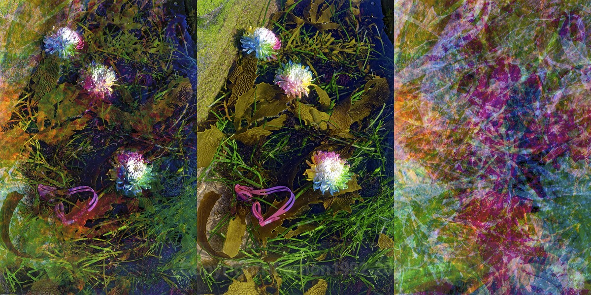 ENTROPY TRIPTYCH X-Xll - ENTROPY 2023