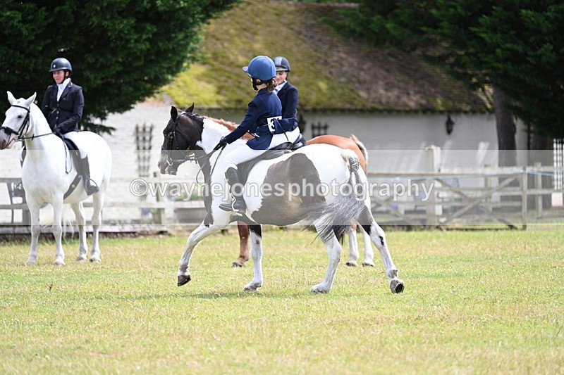 WJ7_9751 - Class 8 Ridden Veterans