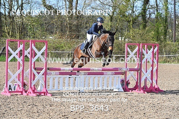 BPP_3643 - CLASS 1 FRI Club/ Unaffiliated 80cms Open