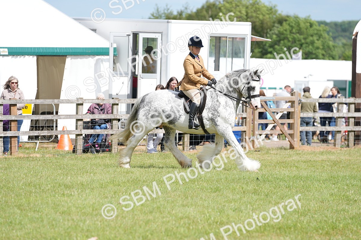 SBM_17258 - Class 107-108 - LIHS BSPS Performance Coloured Horse Pony
