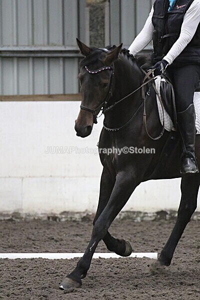 SIAL5400 - CAbin Dressage 5th july 2025