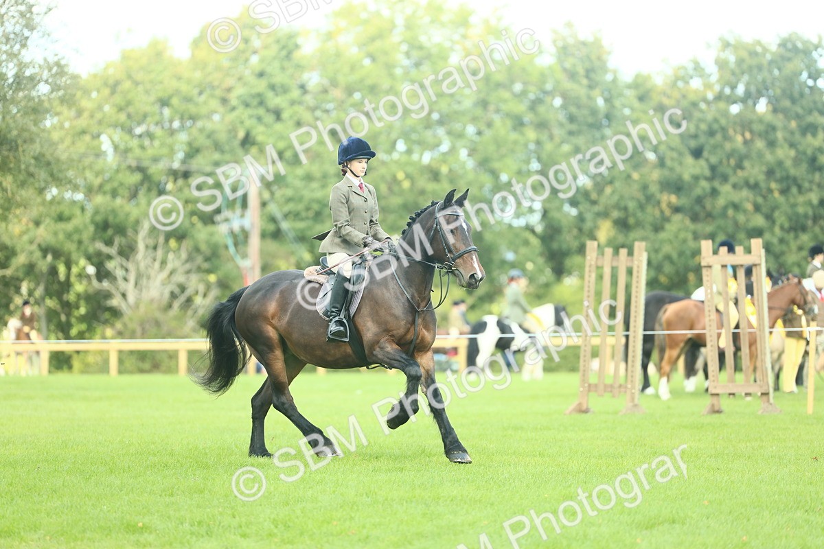 SBM_42033 - S29 - Novice & Newcomers Working Hunter Pony