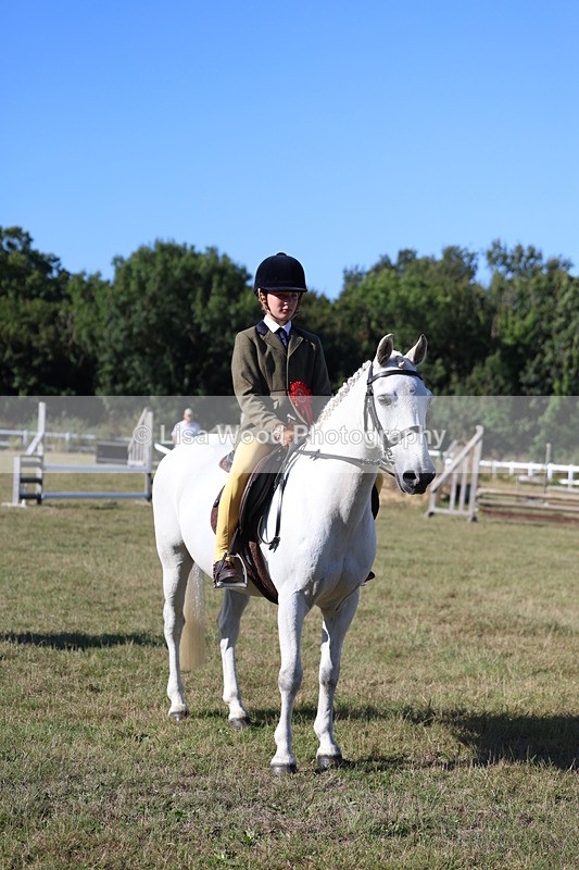 3E7A5399 - Class 2: Working Hunter 60cm